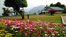 Windsongs, Kalimpong - 29.-Lawn-_-Garden