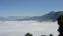 Windsongs, Kalimpong - 33.-On-Cloud-9-!